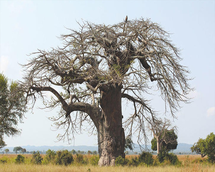 project-slider-image